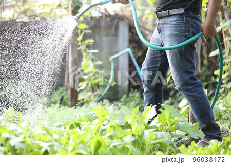 Male legs with watering plants in home garden 96038472