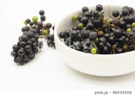 採取した山葡萄の実 96039308