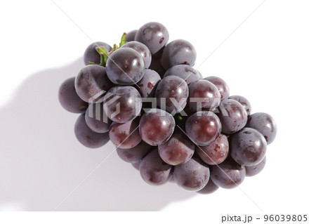 Red grapes isolated in white background Red grapes isolated in white background 96039805