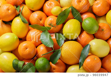 fresh citrus fruits as background, top view fresh citrus fruits as background, top view 96039947