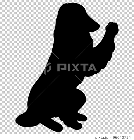 Silhouette of a simple and cute afghan hound waving Silhouette of a simple and cute afghan hound waving 96040734