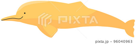 インダスカワイルカ インダスカワイルカ 96040963