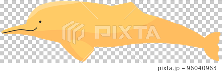 インダスカワイルカ インダスカワイルカ 96040963