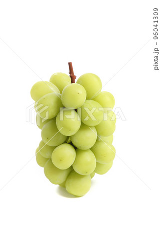 Green grape isolated in white background 96041309