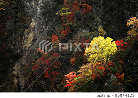 日光の旅　絵画の様な山の紅葉の風景 96044125