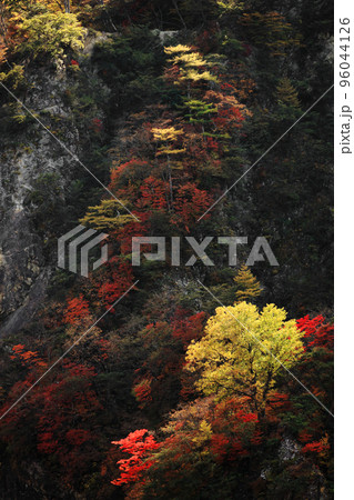 日光の旅　絵画の様な山の紅葉の風景 96044126