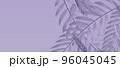 Background from abstract tropical leaves coloured in trendy lavender color 96045045
