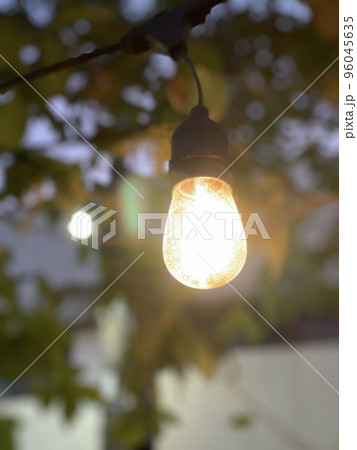 電球 96045635