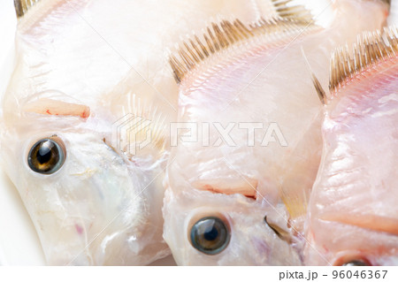 皮を剥いだカワハギのアップ。 皮を剥いだカワハギのアップ。 96046367