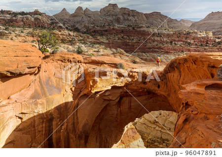Capitol Reef 96047891