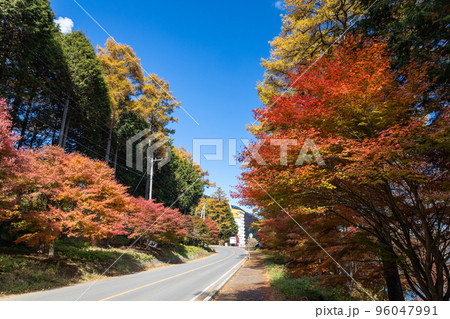 秋の榛名山　榛名湖外周道路　群馬県 96047991
