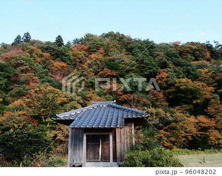 晩秋の町屋の不動明王堂 晩秋の町屋の不動明王堂 96048202