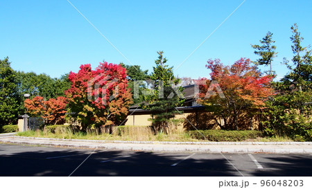 勿来の関の紅葉 96048203