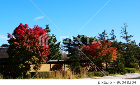 勿来の関の紅葉 96048204