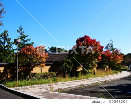 勿来の関の紅葉 96048205