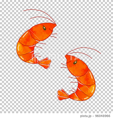 two cute shrimp 96048966