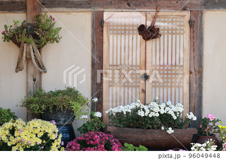 女性 女 女の子 96049448