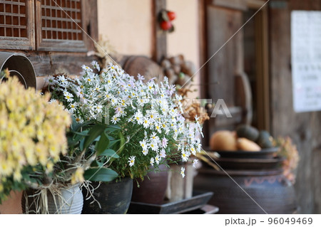 女性 女 女の子 96049469