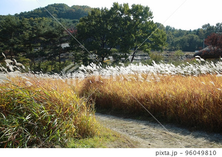 コピースペース 人 人間 96049810