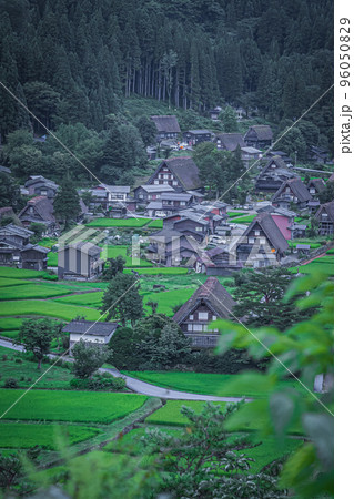 夏の白川郷の風景 夏の白川郷の風景 96050829