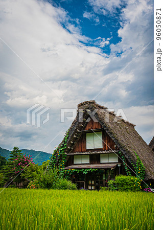 夏の白川郷の風景 夏の白川郷の風景 96050871