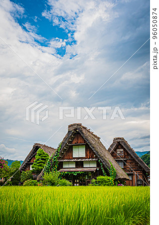 夏の白川郷の風景 夏の白川郷の風景 96050874