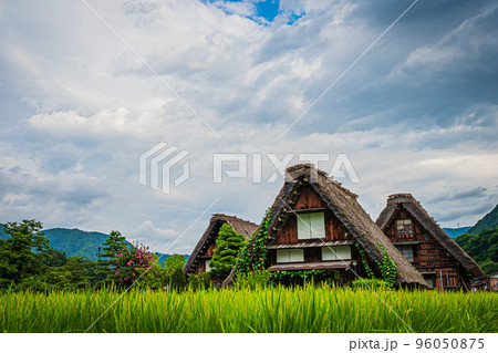 夏の白川郷の風景 96050875