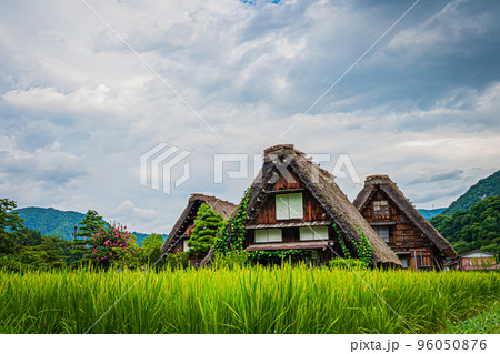 夏の白川郷の風景 96050876
