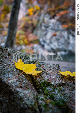 秋の北海道の定山渓の風景 96051549