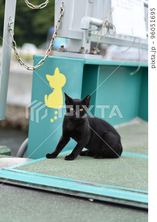 田代島の仁斗田港に住む猫 96051695