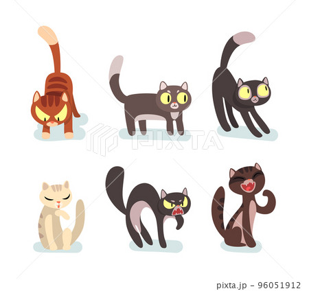 Fluffy Cat and Tabby as Furry Domestic Pet Sitting and Standing Vector Set 96051912