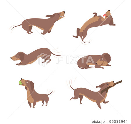 Funny Dachshund Brown Dog Character in Various Pose Vector Set 96051944