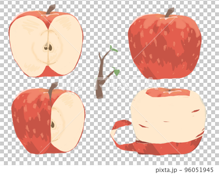 赤リンゴ　カットいろいろ 96051945