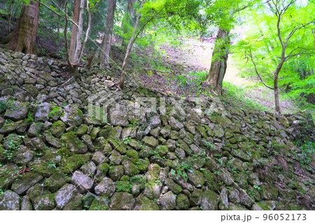 穴門山神社の石垣と新緑の神木　岡山県高梁市 96052173