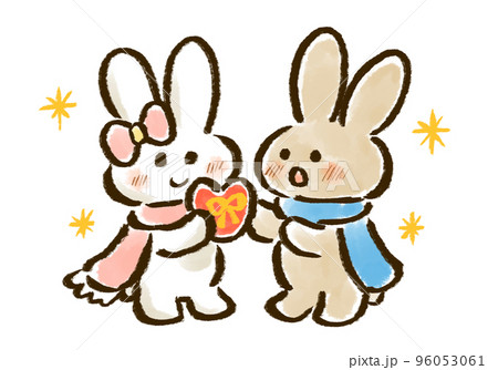 バレンタインチョコを渡す白うさぎと受け取る茶うさぎの手描きイラスト バレンタインチョコを渡す白うさぎと受け取る茶うさぎの手描きイラスト 96053061