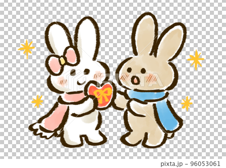 バレンタインチョコを渡す白うさぎと受け取る茶うさぎの手描きイラスト バレンタインチョコを渡す白うさぎと受け取る茶うさぎの手描きイラスト 96053061