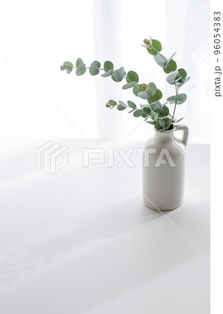 ユーカリ　植物の背景素材 96054383