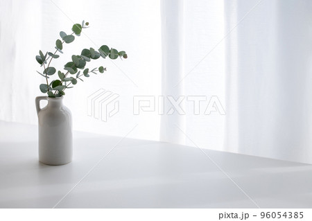 ユーカリ　植物の背景素材 96054385