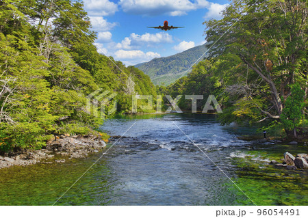 ナウエル・ウアピ国立公園のアラヤネスの森 96054491