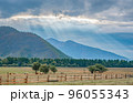 landscape of a mountainous area with grazing cows in a meadow 96055343