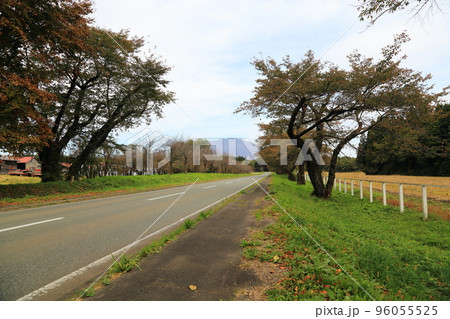 小岩井農場 (秋) 【岩手県雫石町】 小岩井農場 (秋) 【岩手県雫石町】 96055525