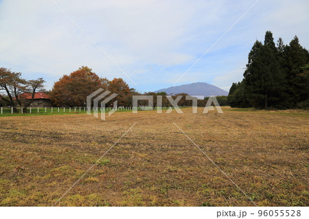 小岩井農場 (秋) 【岩手県雫石町】 小岩井農場 (秋) 【岩手県雫石町】 96055528
