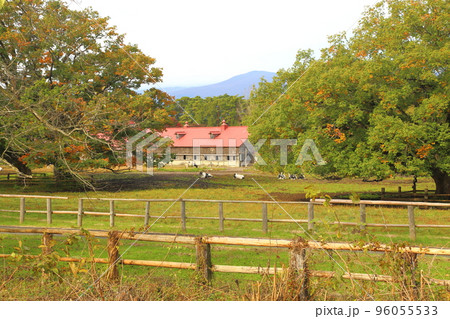 小岩井農場 (秋) 【岩手県雫石町】 小岩井農場 (秋) 【岩手県雫石町】 96055533