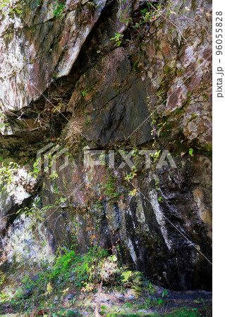 愛媛県　内子町　小田深山渓谷 96055828