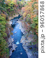 八ッ場ダム渓谷の紅葉 96057868