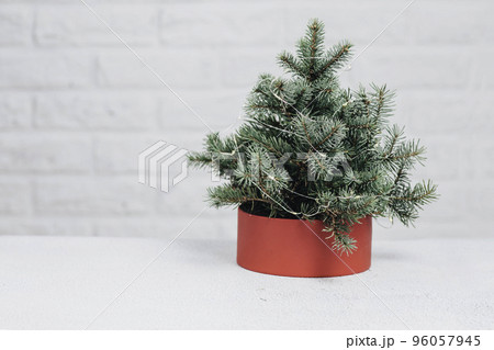 christmas tree in red gift boxes over white brick wall 96057945