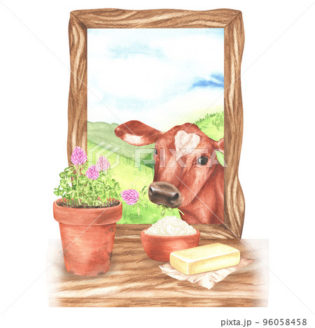 The cow looks into the window, on the windowsill are a bowl of sour cream, butter and a pot of clover. Watercolor illustration. Isolated on a white background. For design dairy product packaging 96058458