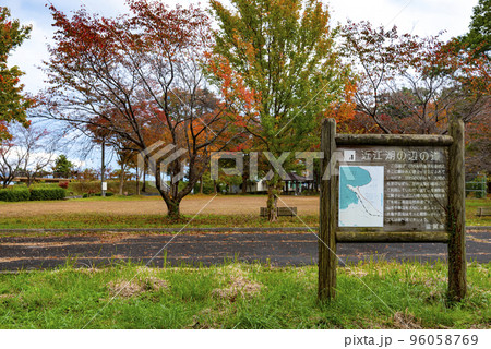 近江湖の辺の道の公園 96058769