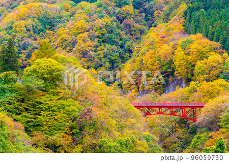 松川渓谷の秋　 96059730