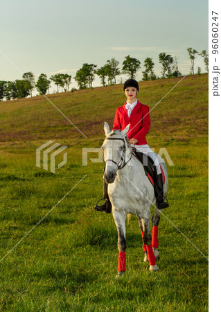 Young woman rider, wearing red redingote and white breeches, with her horse in evening sunset light. 96060247